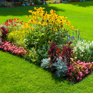 professional lawn care in Reisterstown